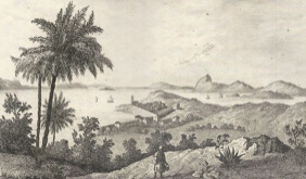 Rio de Janeiro zu Beginn des 20. Jahrhunderts. Kolloquium 1808-2008. ISMPS